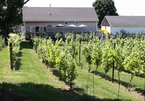 The Langworthy Inn & Winery Westerly Eksteriør billede